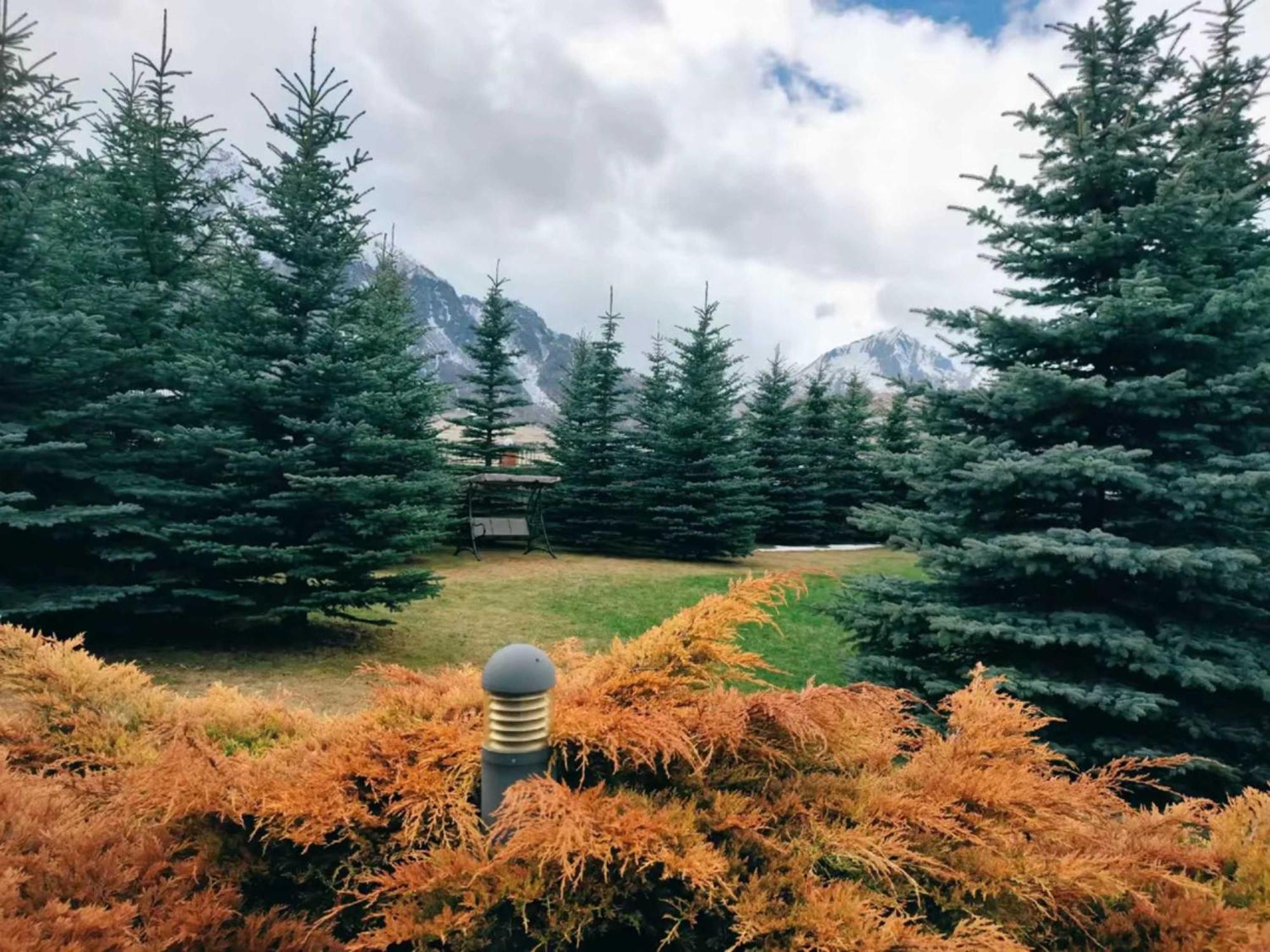 Vardisubani Villa Kazbegi Extérieur photo