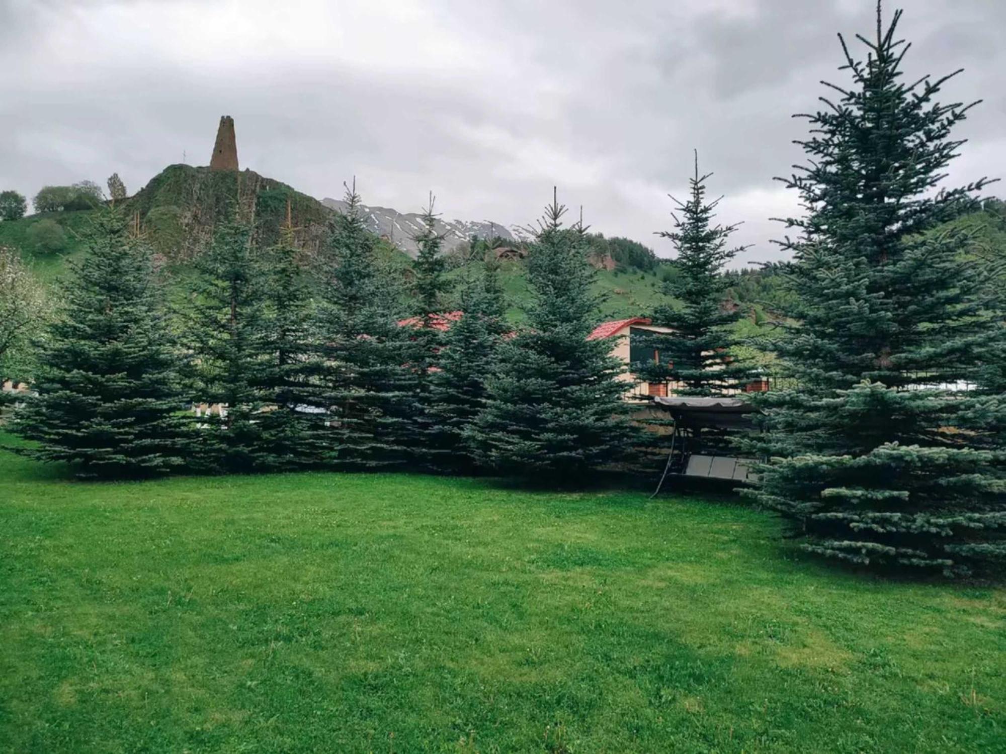 Vardisubani Villa Kazbegi Extérieur photo