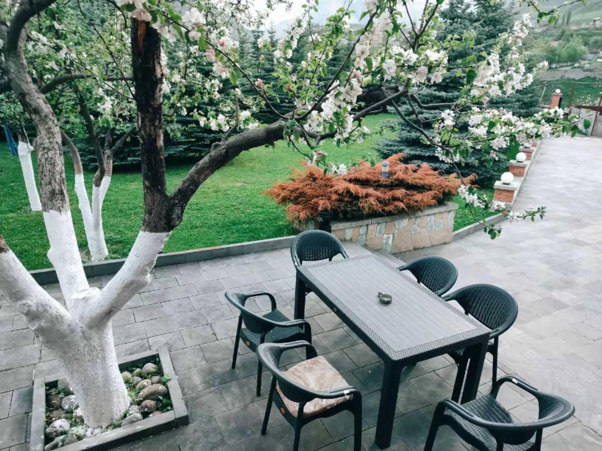 Vardisubani Villa Kazbegi Extérieur photo