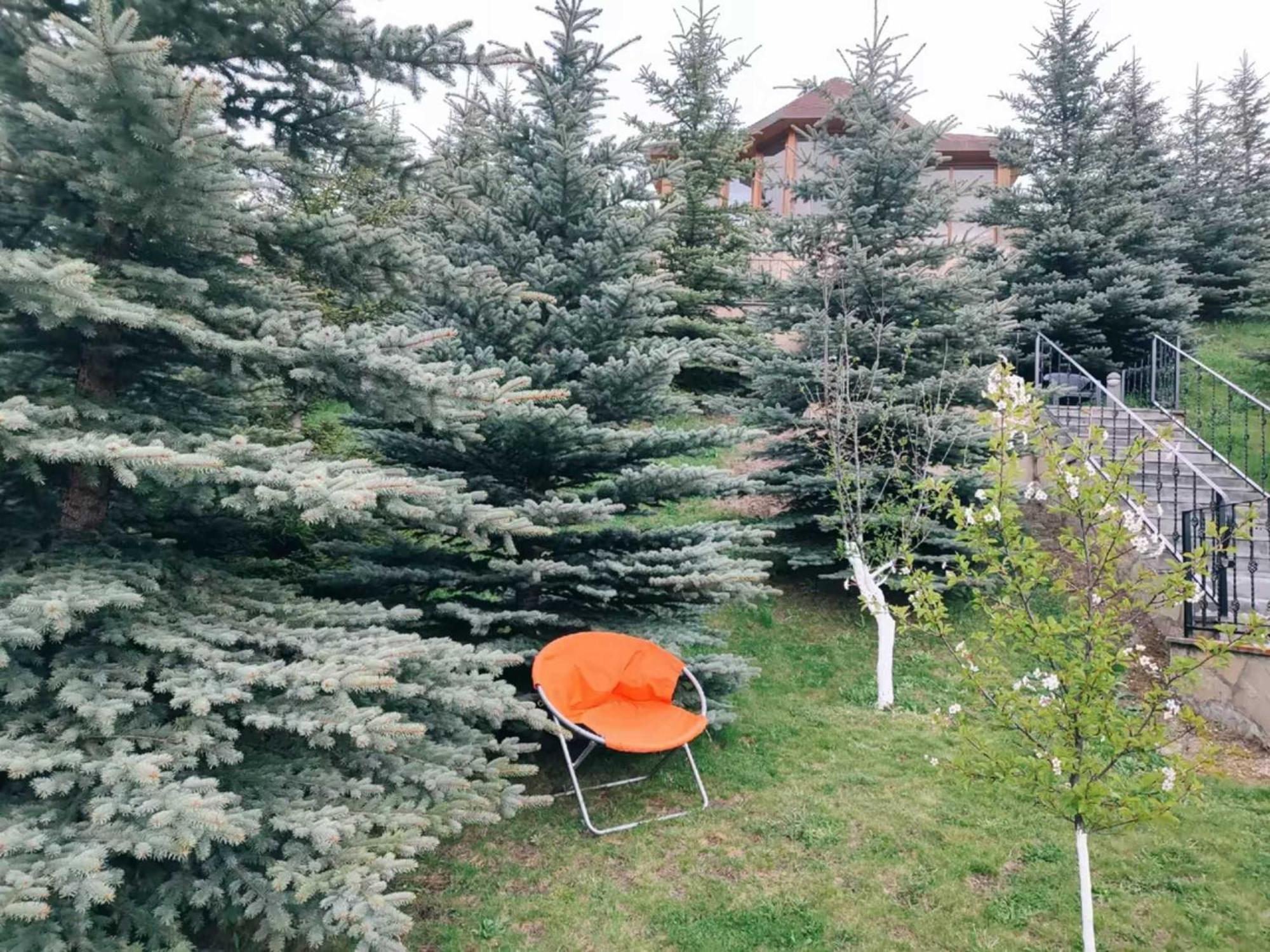 Vardisubani Villa Kazbegi Extérieur photo