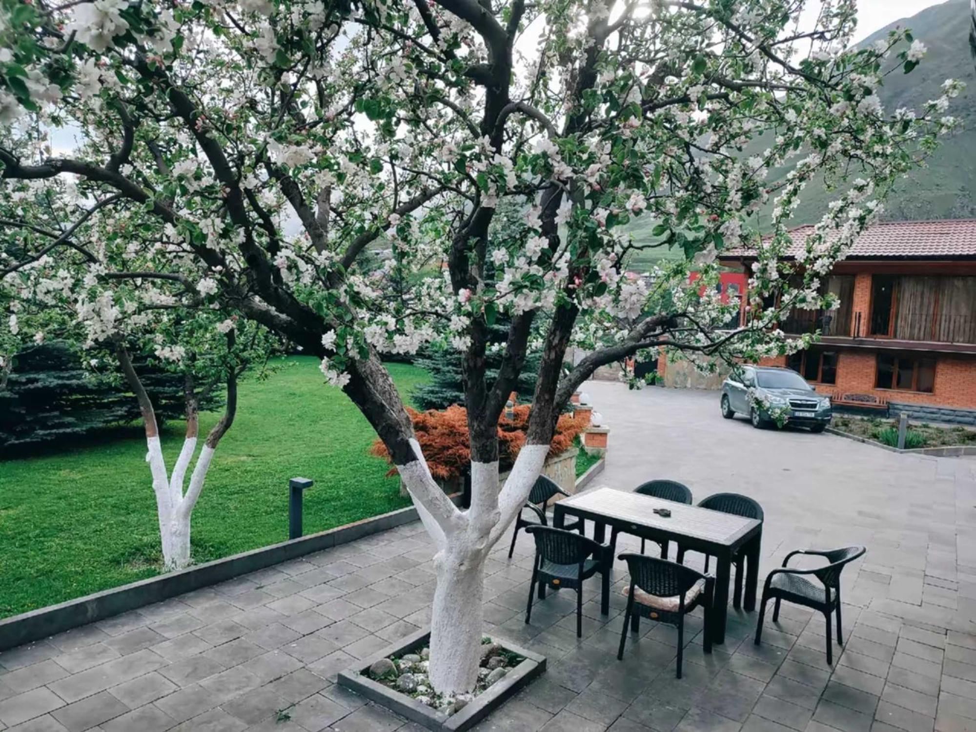 Vardisubani Villa Kazbegi Extérieur photo